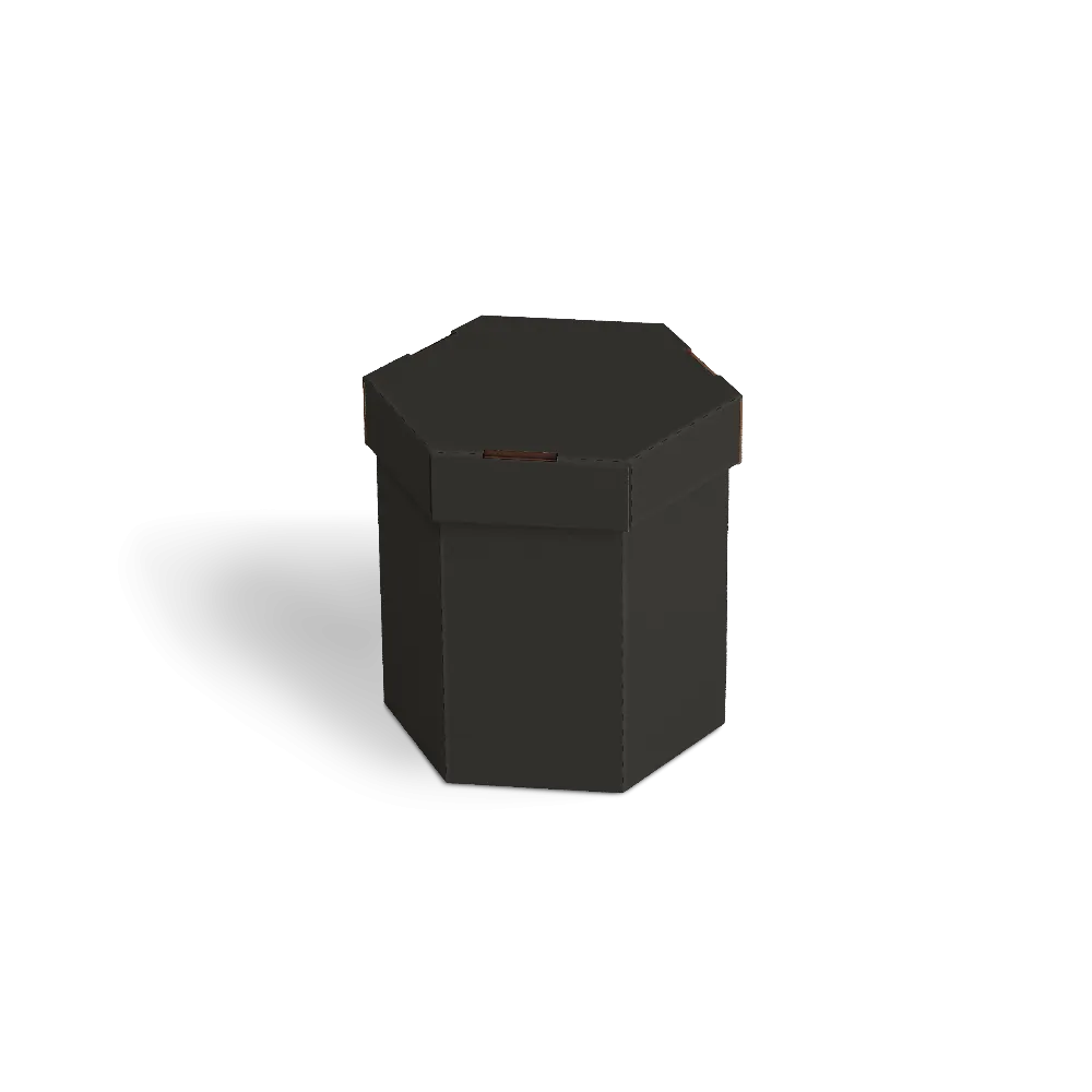 Шестигранная коробка (BXTR 1006)