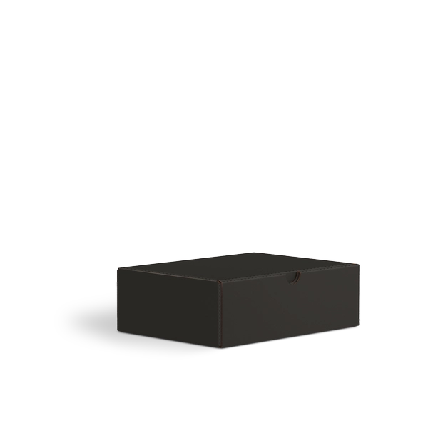 Коробка с откидной крышкой FEFCO 0426 | Т24Е | PANTONE BLACK U | ЧЕРНЫЙ-ЧЕРНЫЙ