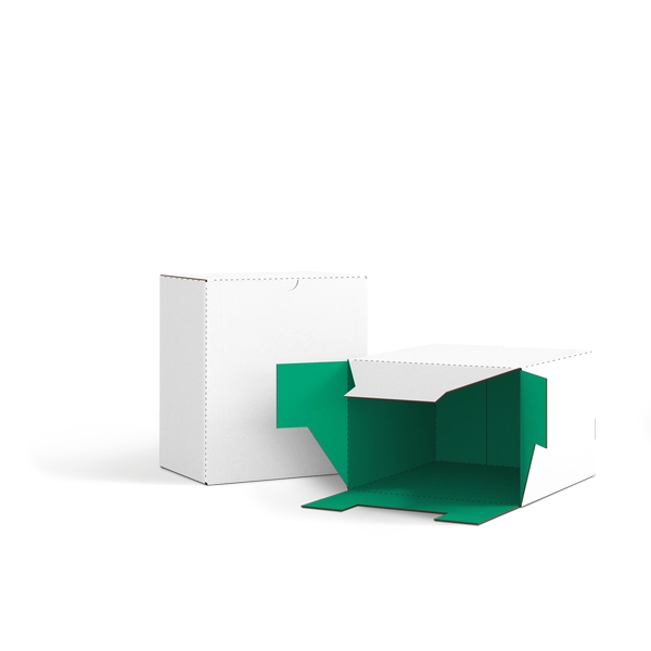 Коробка со складным дном FEFCO 0215 | Т24Е | PANTONE 347 U | БЕЛЫЙ-ЗЕЛЕНЫЙ