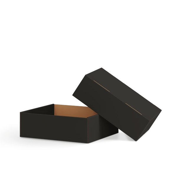 Коробка крышка-дно FEFCO 0330 | Т23Е | PANTONE BLACK U | ЧЕРНЫЙ