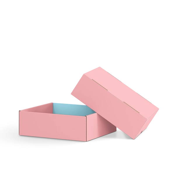 Коробка крышка-дно FEFCO 0330 | Т24Е | PANTONE 197 U | PANTONE 290 U | РОЗОВЫЙ-НЕБО