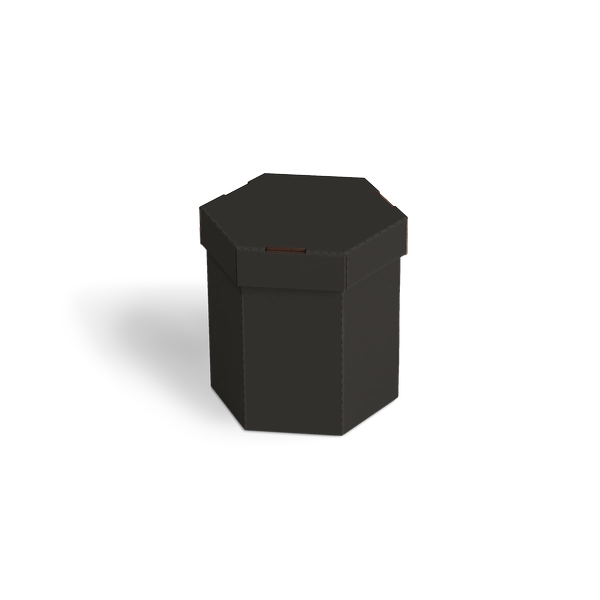 Шестигранная коробка BXTR 1006 | Т23Е | PANTONE BLACK U | ЧЕРНЫЙ