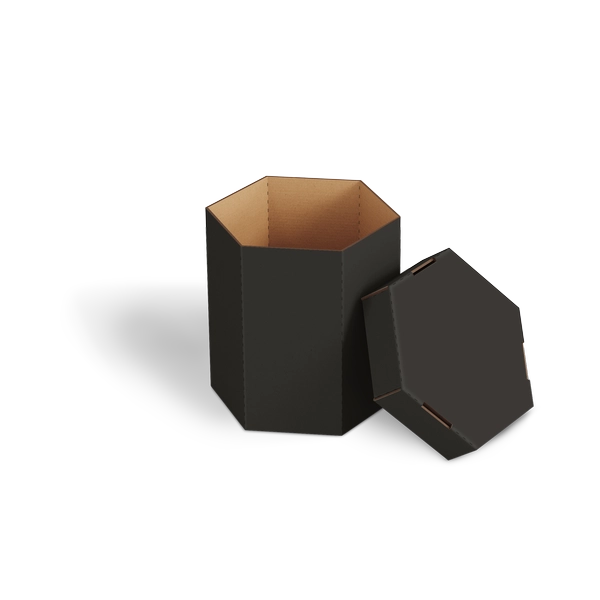 Шестигранная коробка BXTR 1006 | Т23Е | PANTONE BLACK U | ЧЕРНЫЙ
